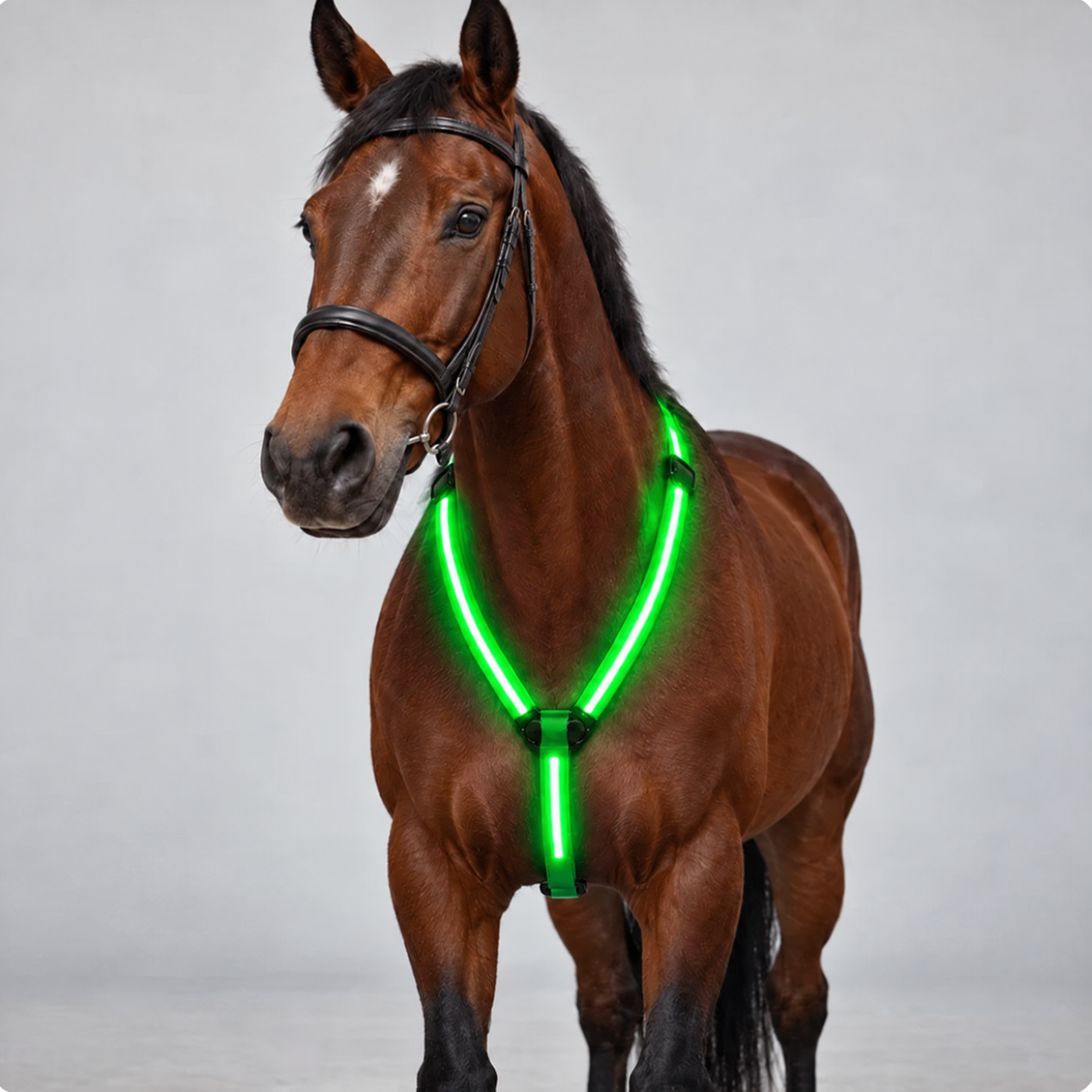 Horse Flare Glow Chest Strap