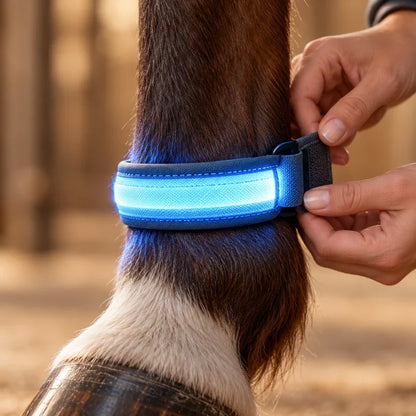 Horse Flare Glow Leg Bands (Set of 4)
