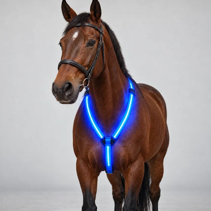 Horse Flare Glow Chest Strap